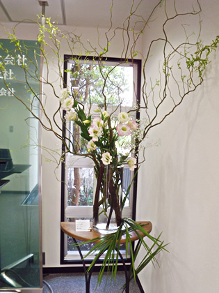 20101004mz001.jpg