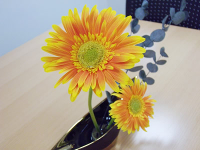 20101004mz003.jpg