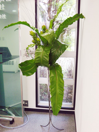20101004mz004.jpg