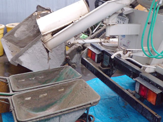 20110111mz004.jpg